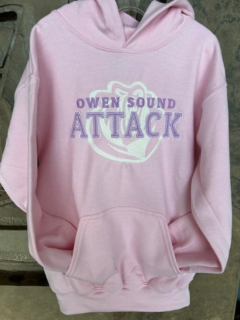Youth CC Pink Hoodie