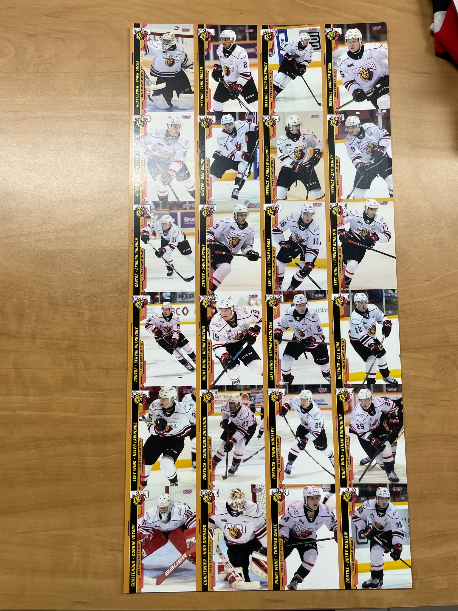 2021-22 Owen Sound Attack Hockey Card Sheet